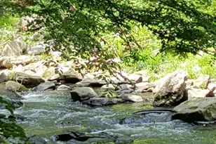 150 Mahogany Dr, North East, MD 21901 - Photo 5