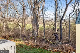 103 Curry, Conowingo, MD 21918 - Photo 29