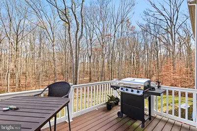 33 Teatree Lane, Elkton, MD 21921 - Photo 9