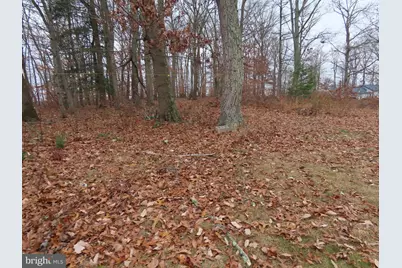 563 Principio Road, Port Deposit, MD 21904 - Photo 3