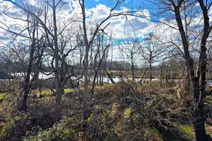 127 Main St, North East, MD 21901 - Photo 11