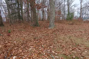 563 Principio Rd, Port Deposit, MD 21904 - Photo 3