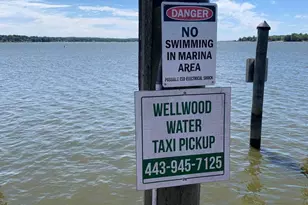 118 North East Isles Dr, North East, MD 21901 - Photo 39