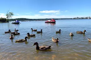 118 North East Isles Dr, North East, MD 21901 - Photo 33