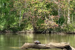 118 North East Isles Dr, North East, MD 21901 - Photo 45