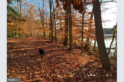 532 Stoney Battery Road, Earleville, MD 21919 - Photo 73