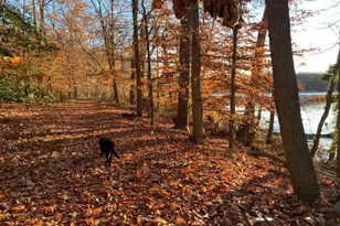 532 Stoney Battery Rd, Earleville, MD 21919 - Photo 73