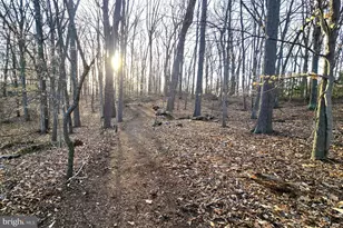 532 Stoney Battery Rd, Earleville, MD 21919 - Photo 69