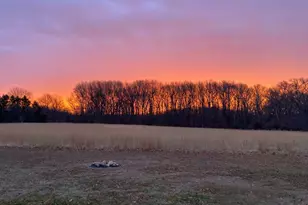 532 Stoney Battery Rd, Earleville, MD 21919 - Photo 77