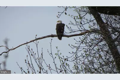 63 NE Isle Drive #42 A, North East, MD 21901 - Photo 39
