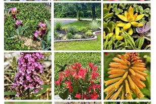 953 Court House Point Rd, Chesapeake City, MD 21915 - Photo 21