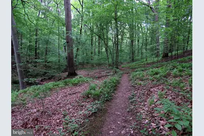 6 Mallory Way, North East, MD 21901 - Photo 33