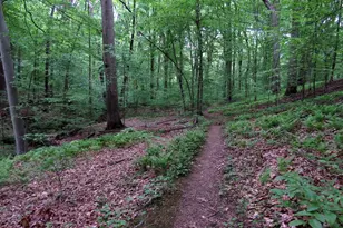 6 Mallory Way, North East, MD 21901 - Photo 33