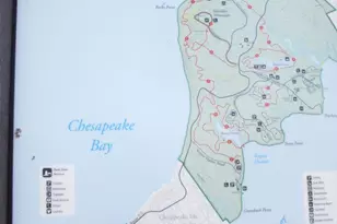 21 Darrel Rd, North East, MD 21901 - Photo 33