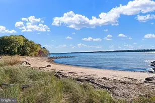 34 Mowbray Ln, North East, MD 21901 - Photo 59