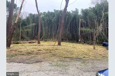 Ohio Avenue, Earleville, MD 21919 - Photo 9