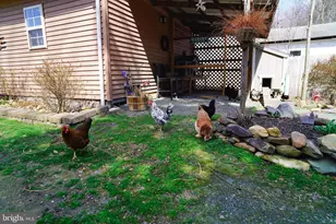 1136 Mechanics Valley Rd, North East, MD 21901 - Photo 39