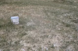 344 Cayots Corner Rd, Chesapeake City, MD 21915 - Photo 27