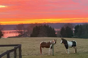 137 Elk Ranch Park Rd, Elkton, MD 21921 - Photo 39