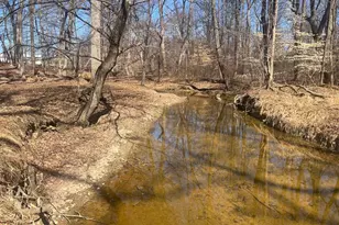 54 Oakridge Ct, Elkton, MD 21921 - Photo 43