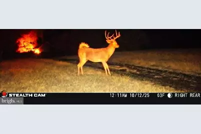 85 Greenhaven Drive, Elkton, MD 21921 - Photo 67