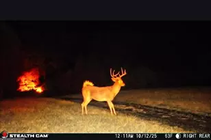 85 Green Haven Dr, Elkton, MD 21921 - Photo 67