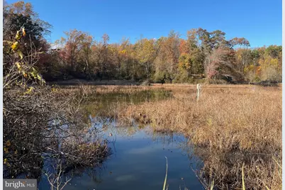 750 Cassidy Wharf Road, Earleville, MD 21919 - Photo 129