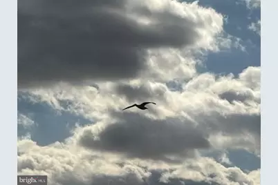 886 Turkey Point Road, North East, MD 21901 - Photo 5