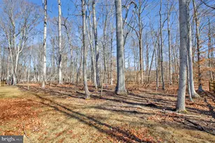135 Catalpa Dr, North East, MD 21901 - Photo 49