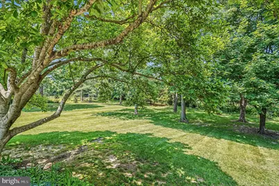 31 Filbert Lane, Elkton, MD 21921 - Photo 45