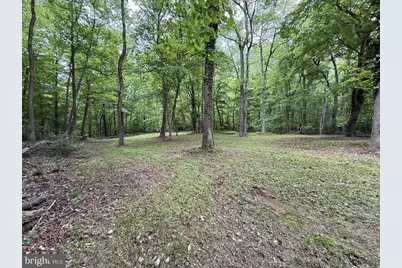 51 S Lockewood Road, Elkton, MD 21921 - Photo 13