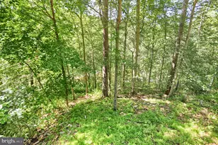 32 Codjus Dr, Rising Sun, MD 21911 - Photo 45