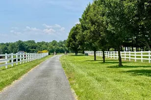 627 Doctor Miller Rd, North East, MD 21901 - Photo 3