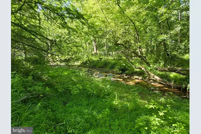 341 Johnson Road, Conowingo, MD 21918 - Photo 29