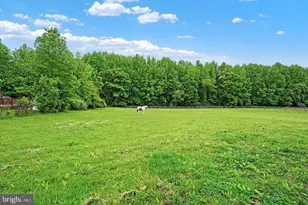535 Nottingham Rd, Elkton, MD 21921 - Photo 15