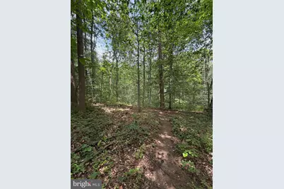 Ragan Road, Conowingo, MD 21918 - Photo 3