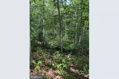 Ragan Road, Conowingo, MD 21918 - Photo 5
