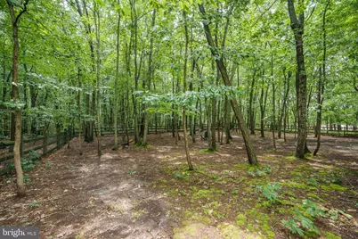 28 Watson Way, North East, MD 21901 - Photo 39