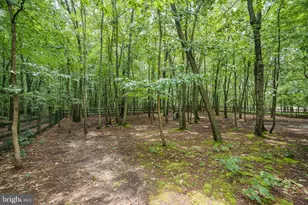 28 Watson Way, North East, MD 21901 - Photo 41