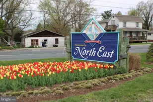 11 NE 11 NE Isle Dr Dr, North East, MD 21901 - Photo 53