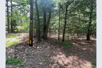 0 Columbia Road, Egg Harbor City, NJ 08215 - Photo 13