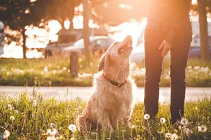 7 Del Ray Rd, Egg Harbor Township, NJ 08234 - Photo 29