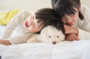 215 Daytona Rd, Egg Harbor Township, NJ 08234 - Photo 19