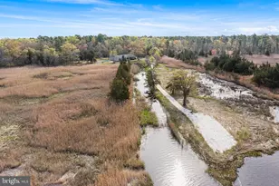 333 Betsey Scull Rd, Egg Harbor Township, NJ 08234 - Photo 39