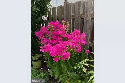 205 Beacon Hill Drive, Egg Harbor Township, NJ 08234 - Photo 61