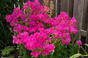 205 Beacon Hill Dr, Egg Harbor Township, NJ 08234 - Photo 61