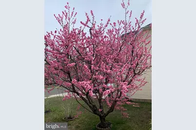 205 Beacon Hill Drive, Egg Harbor Township, NJ 08234 - Photo 63