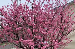 205 Beacon Hill Dr, Egg Harbor Township, NJ 08234 - Photo 63