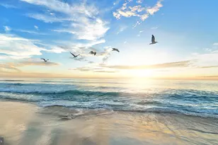 225 Daytona, Egg Harbor Township, NJ 08234 - Photo 39