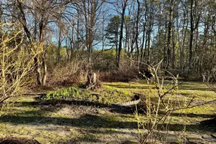 705 Meadowbrook Dr, Mays Landing, NJ 08330 - Photo 49